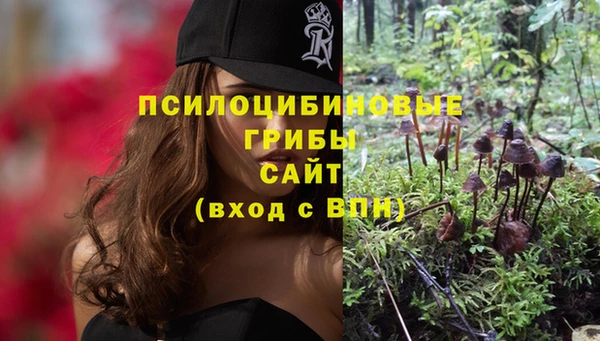гидра Дмитриев