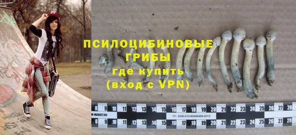 гидра Дмитриев